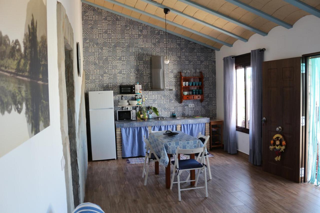 Chalet Mirlo Conil De La Frontera Εξωτερικό φωτογραφία